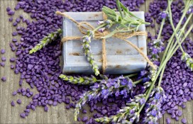 chalet65.jpg chalet65.jpg