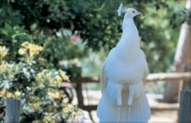 crete-zoo-1.jpg crete-zoo-1.jpg