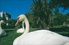 crete-zoo-2.jpg crete-zoo-2.jpg