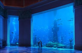 d4afa_9.jpg d4afa_9.jpg