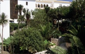 db0b2_444.jpg db0b2_444.jpg