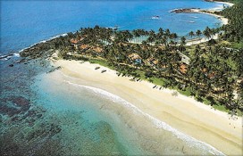 dickwella16.jpg dickwella16.jpg