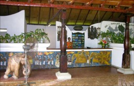 dickwella17.jpg dickwella17.jpg