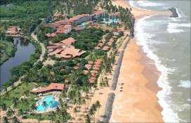 dolphin1.jpg dolphin1.jpg