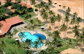 dolphin3.jpg dolphin3.jpg