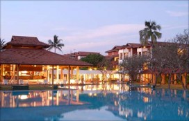 dolphin4.jpg dolphin4.jpg