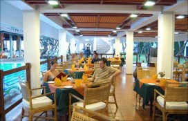 dolphin5.jpg dolphin5.jpg