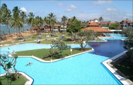 dolphin6.jpg dolphin6.jpg