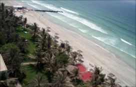 e786a_4.jpg e786a_4.jpg