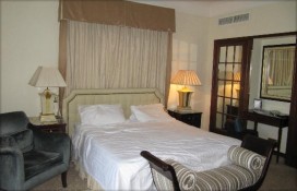 ef21e_3333333.jpg ef21e_3333333.jpg