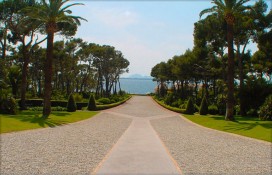 f0989_167499.jpg f0989_167499.jpg