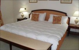 f5289_11111.jpg f5289_11111.jpg