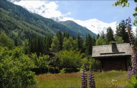 imagelocation1039.jpg imagelocation1039.jpg