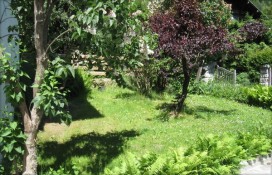 imagelocation771.jpg imagelocation771.jpg