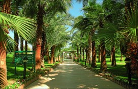 Территория отеля Территория отеля