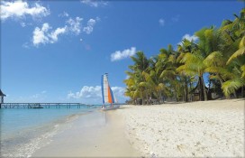 mutbch1dac11.jpg mutbch1dac11.jpg