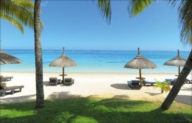 mutbch1dae11.jpg mutbch1dae11.jpg