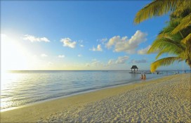 mutbch1daf11.jpg mutbch1daf11.jpg