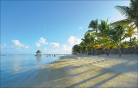 mutbch1dag11.jpg mutbch1dag11.jpg