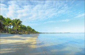 mutbch1dah11.jpg mutbch1dah11.jpg