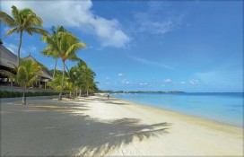 mutbch1daj11.jpg mutbch1daj11.jpg