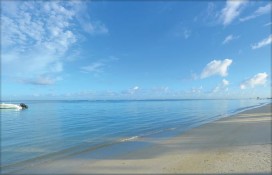 mutbch1dal11.jpg mutbch1dal11.jpg