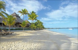 mutbch1dap11.jpg mutbch1dap11.jpg