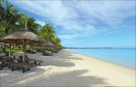 mutbch1das11.jpg mutbch1das11.jpg