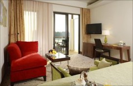 p902525377.jpg p902525377.jpg