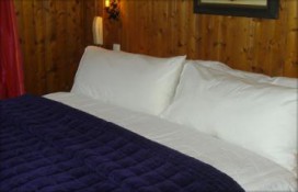 photo-etoile-d-or-9.jpg photo-etoile-d-or-9.jpg