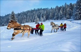 ski-joeering1200x800.jpg ski-joeering1200x800.jpg