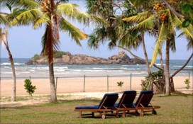 thepalms3.jpg thepalms3.jpg