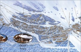 totara.jpg totara.jpg