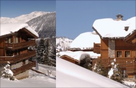 tsuga2.jpg tsuga2.jpg