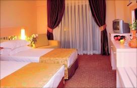 whitelilyum08ok.jpg whitelilyum08ok.jpg