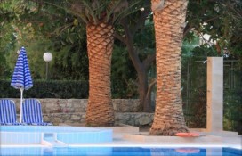 zakantha-2008-1941.jpg zakantha-2008-1941.jpg